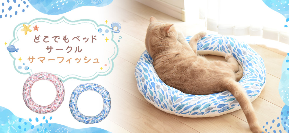 �ǂ��ł��x�b�h �T�}�[�t�B�b�V��