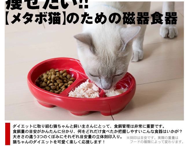 アニーコーラス カラープレート 60 猫用食器 ねこ用 ねこの食器 フードボウル 猫専門店ゴロにゃん 公式通販サイト 猫の首輪 猫 用品 フード アニーコーラス カラープレート 60 猫用食器 ねこ用 ねこの食器 フードボウル 猫専門店ゴロにゃん 公式通販サイト 猫の首輪 猫 用品 フード