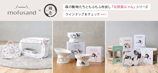 �L�� ���t�T���h�R���{