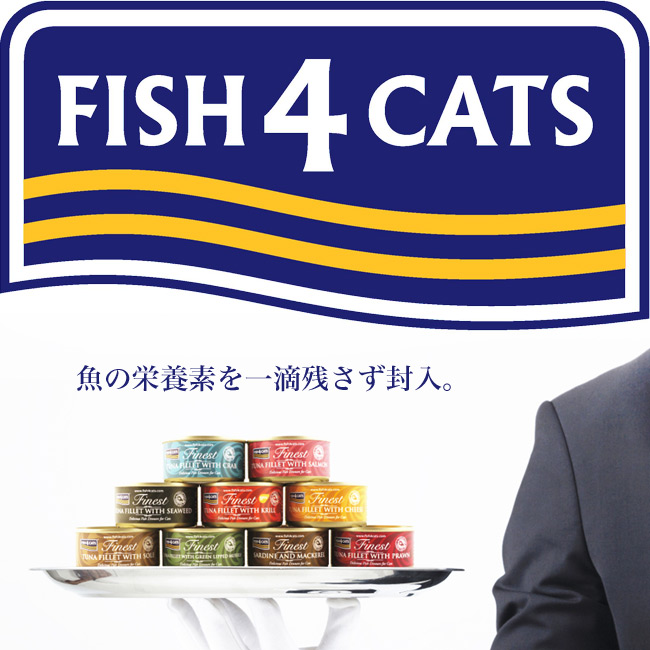 �t�B�b�V��4 �L���b�g �L�ʃV���[�Y �c�i�����[���L