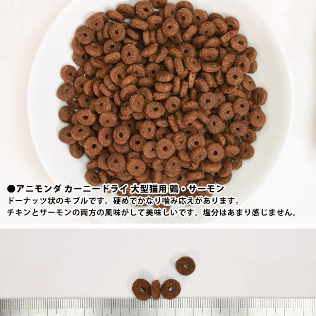 �����Ɨ��̑傫��