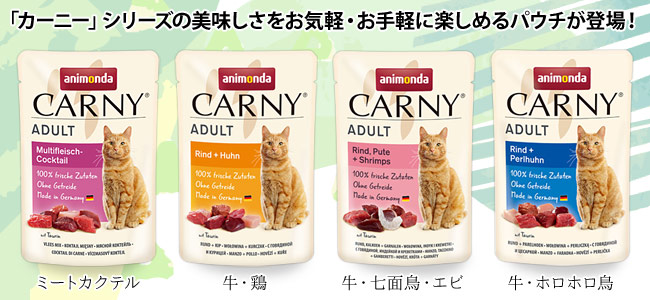 Aj_ J[j[ pE`