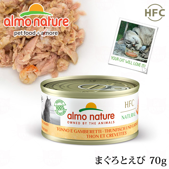 AlC`[ EFbg(ʋl) ܂Ə (5023)