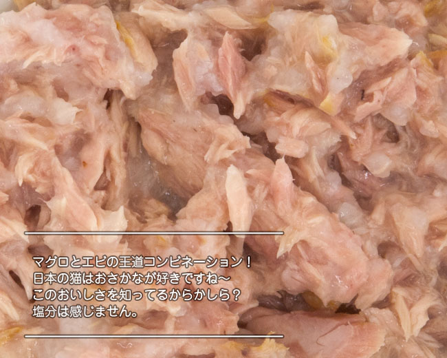v~AtHc@10(tHc@fBG`) EFbgt[h(L) i`OV[Y Lȃ}OƏGr̃O 75g (2566)