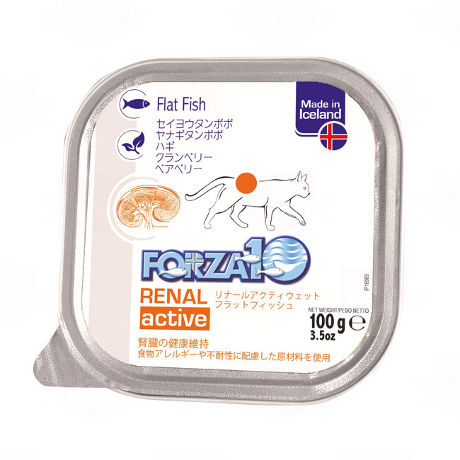 ご専用 フォルツァ リナールアクティウエット 新品 ラム 6個