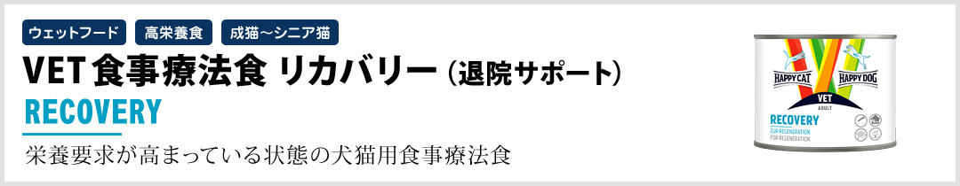 Jo[iމ@T|[gj
