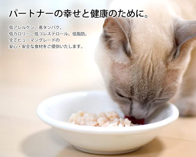 VACEL(�o�[��)