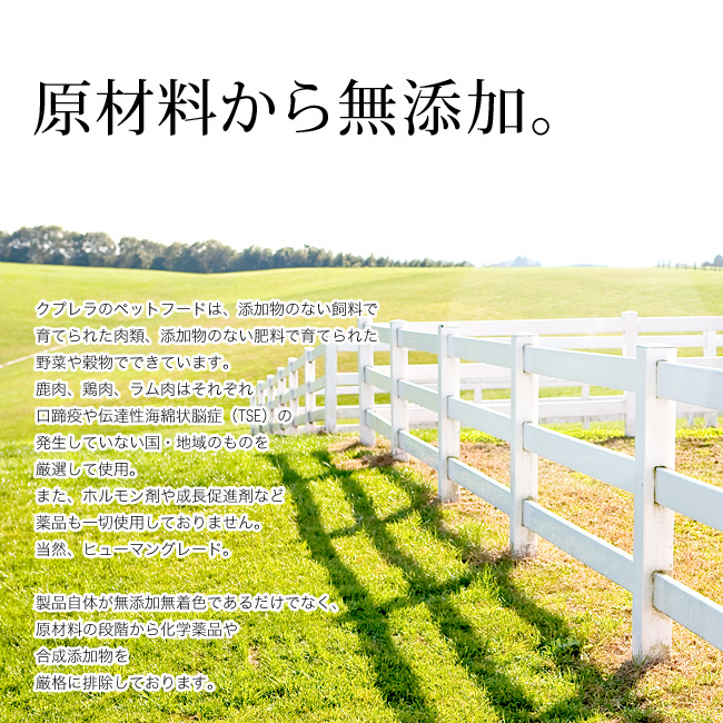 �N�v���� CUPURERA