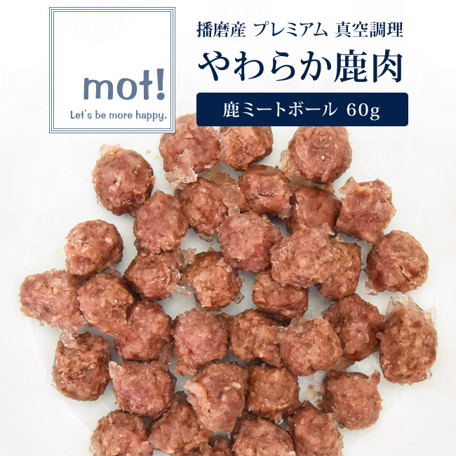 mot!炩{ ~[g{[ 60g v~A ^󒲗 dY Lp