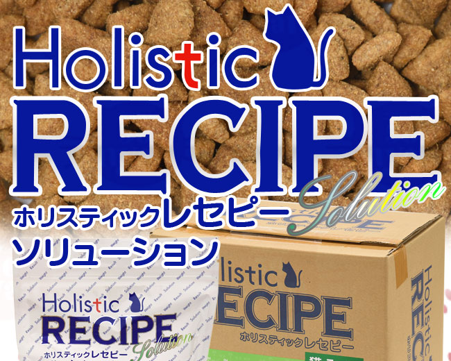 HolisticRECIPE zXeBbNZs[E\[V LCg ̏dǗ Lp