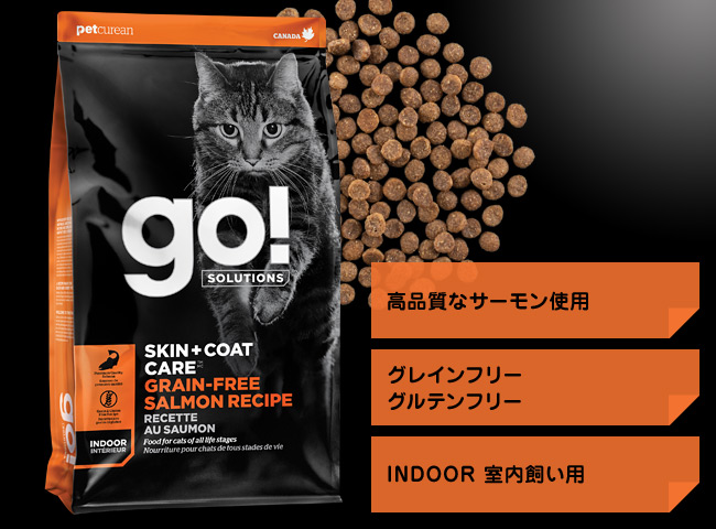 GO! SOLUTIONS �畆�{��уP�A �T�[�����L���b�g