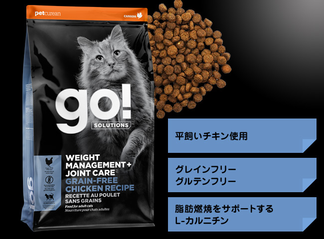 GO! SOLUTIONS �_�C�G�b�g�{�֐߃P�A �`�L���L���b�g