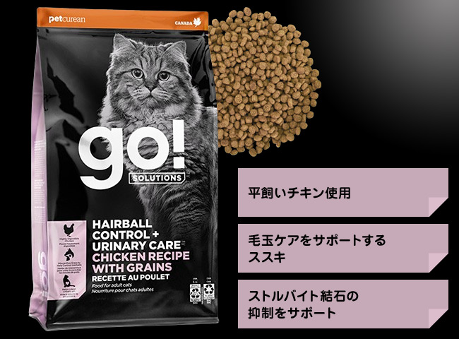 GO! SOLUTIONS �ыʁ{�����A�H�P�A �`�L���L���b�g