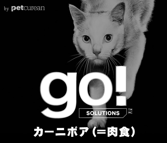 go! J[j{A OCt[ T[ + Rbh Lbg
