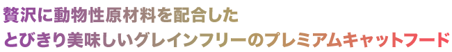 go! J[j{A OCt[ T[ + Rbh Lbg