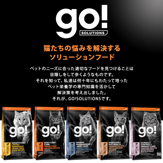 go! �\�����[�V�����Y