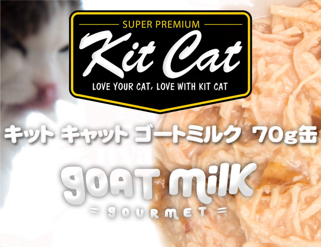 kit cat LbgLbg S[g~N `L Lp