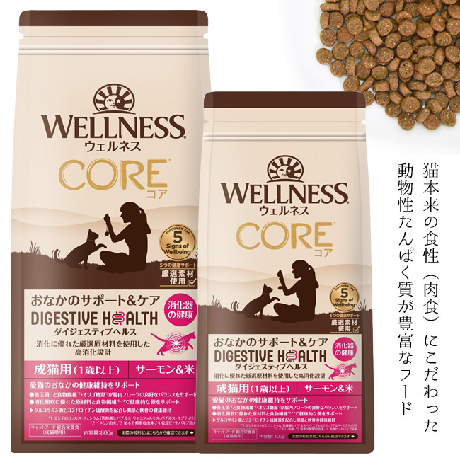 �E�F���l�X �R�A�_�C�W�F�X�e�B�u�w���X ���L�p(1�Έȏ�) �T�[�������� 400g