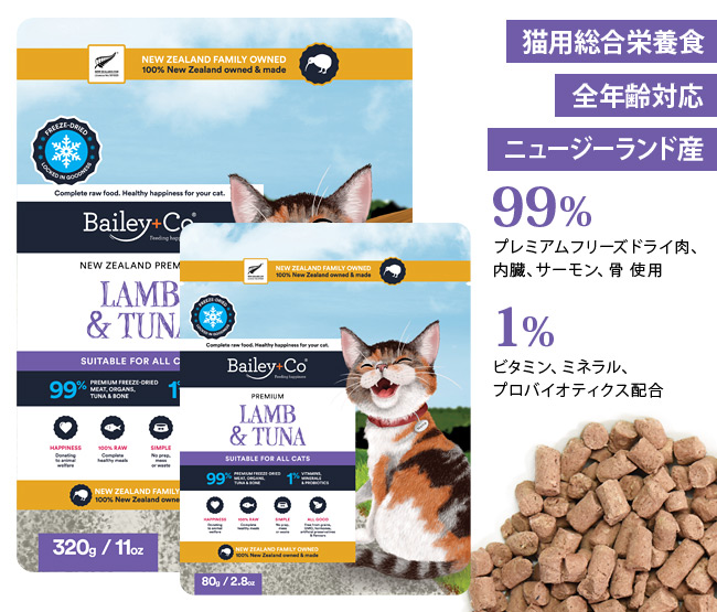 �x�C���[�R�[ �L���b�g �t���[�Y�h���C �R���v���[�g �������c�i