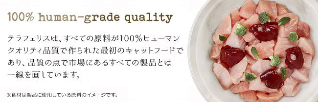 100%q[}NIeBǐōŏ̃Lbgt[h