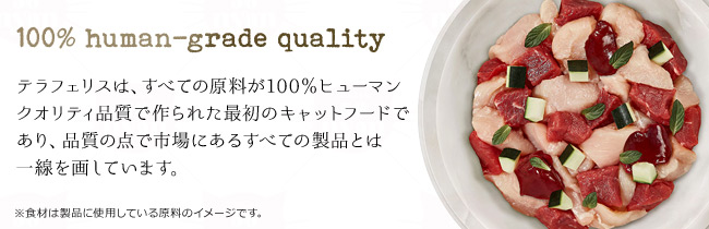 100%q[}NIeBǐōŏ̃Lbgt[h