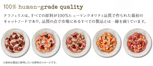 100%q[}NIeBǐōŏ̃Lbgt[h