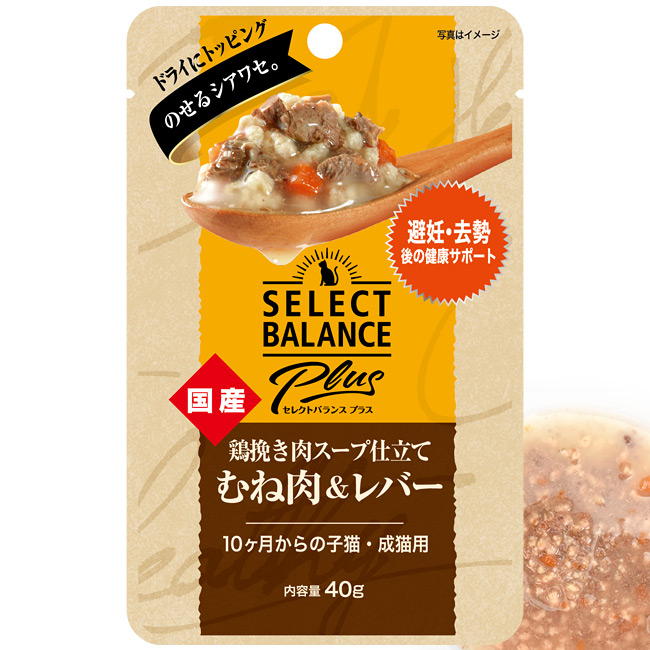 ZNgoXPlus {҂X[vd A_g 40gpE` 10̎qLELp EFbgt[h Y