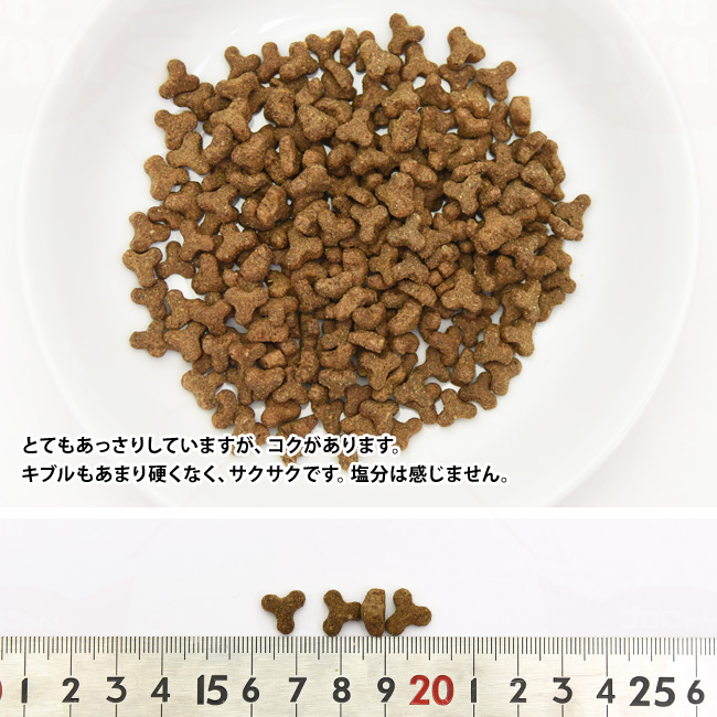 Ɨ̑傫
