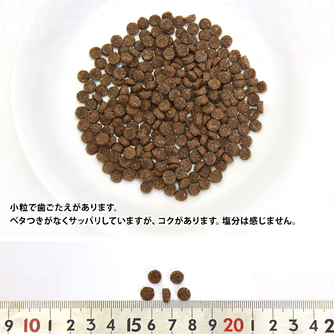 Ɨ̑傫