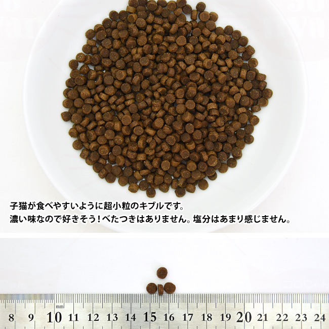 Ɨ̑傫