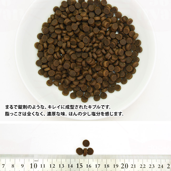 Ɨ̑傫