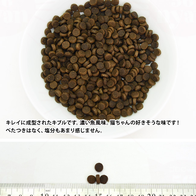 Ɨ̑傫