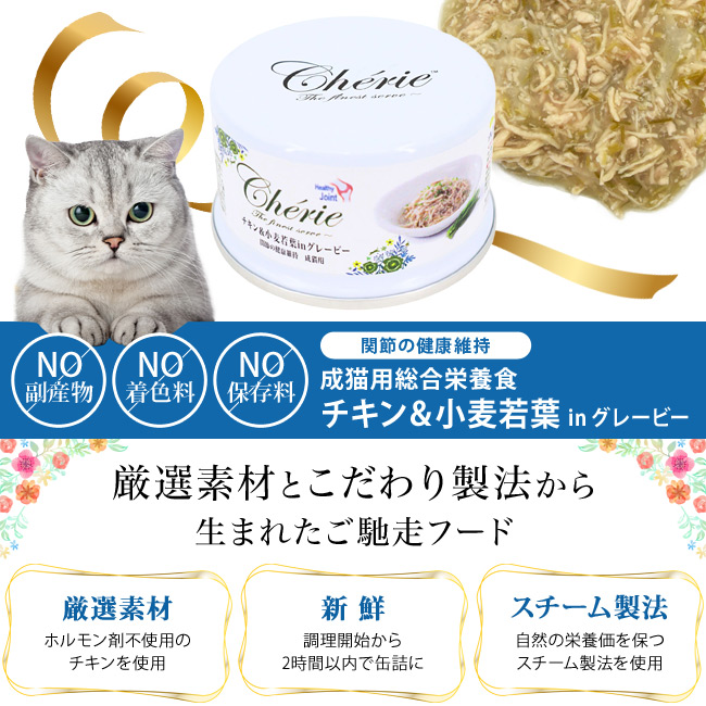 Cherie VF[ `LtinO[r[ ֐߂̌Nێ Lp 80g h{H Lp EFbgt[h L