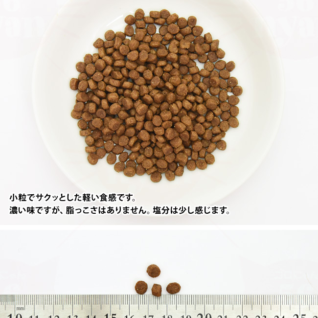 Ɨ̑傫