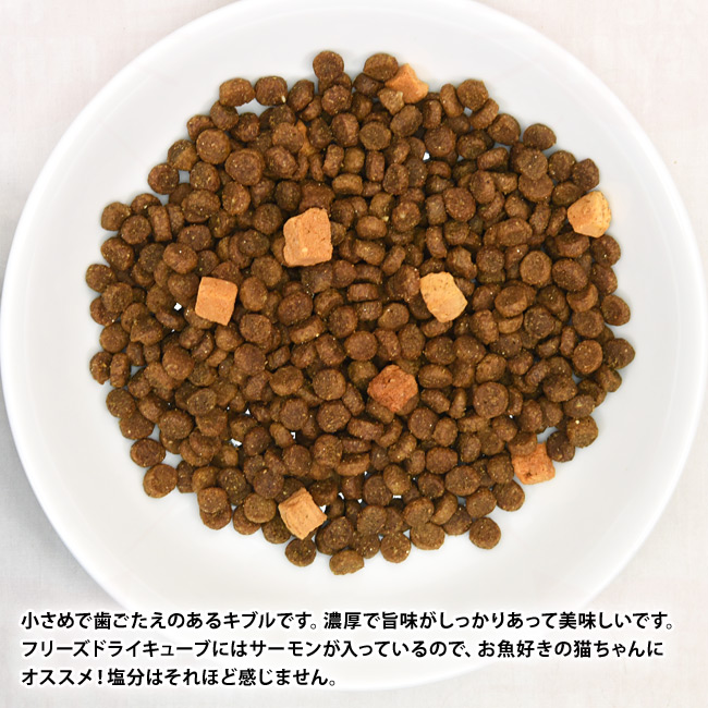 Ɨ̑傫