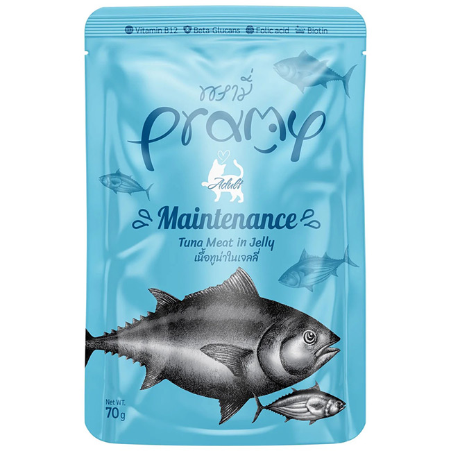 Pramy v~[ ci[[ eiX 70g NێT|[g SNLp pE`