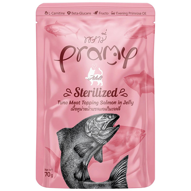 Pramy v~[ ciET[[[ XeACYh 70g DPA SNLp pE`