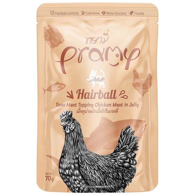 Pramy v~[ ciE`L[[ wA{[ 70g ыʔroɔz SNLp pE`