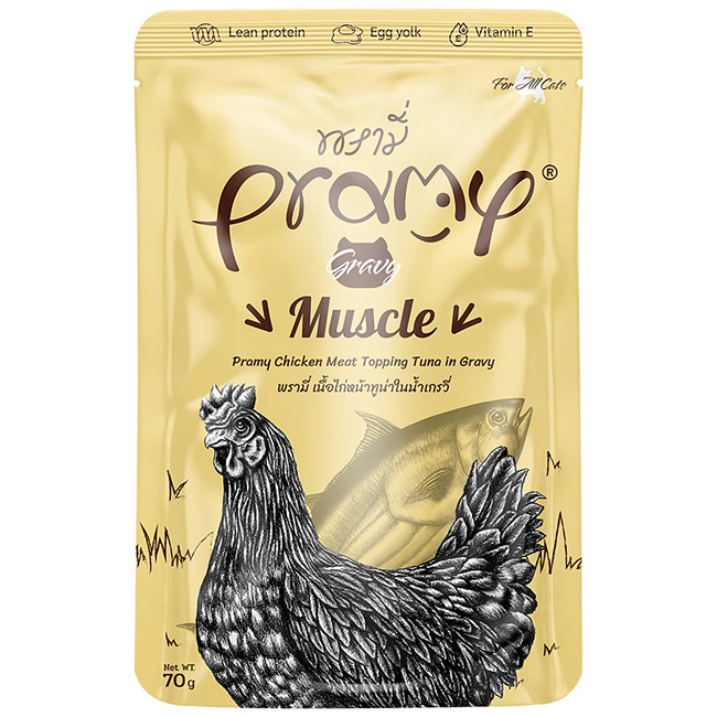 Pramy v~[ `LEciOCr[ }bX 70g ؓ̌Nێɔz SNLp pE`