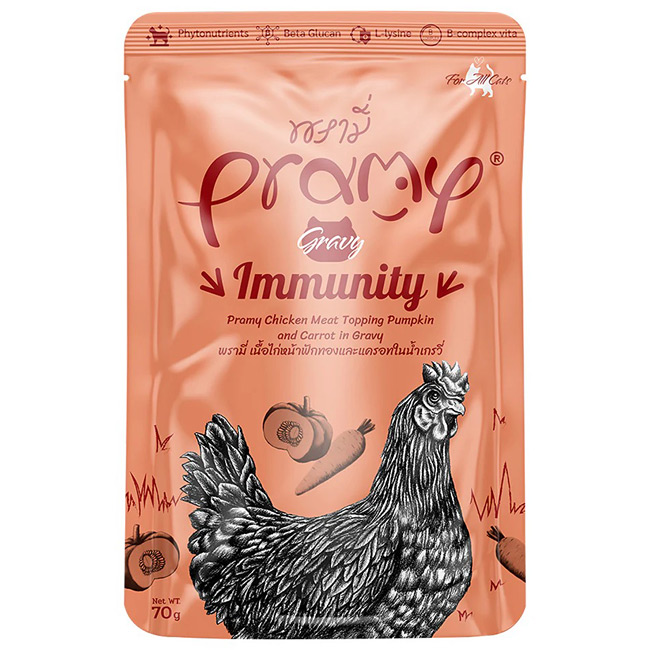 Pramy v~[ `LEjWEJ{`OCr[ C~jeB[ 70g Ɖuێɔz SNLp pE`