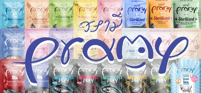 Pramy �v���~�[