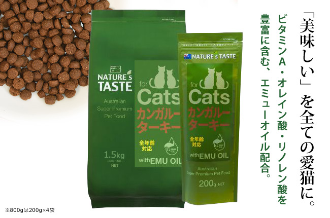 lC`[YeCXg Lp JK[^[L[ 800gi200g~4܁j G~[ICz SNLphCt[hih{Hj