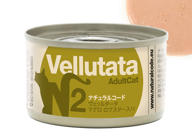 �i�`�������R�[�h ���F�b���^�[�^ N2 �}�O�� ���u�X�^�[����