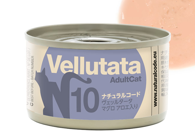 �i�`�������R�[�h ���F�b���^�[�^ N10 �}�O�� �A���G����