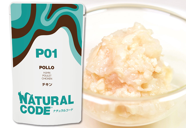 �i�`�������R�[�h NCP1 �`�L�� �p�E�`�^�C�v