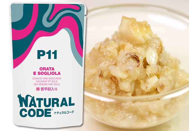 �i�`�������R�[�h NCP11 �� �㕽�ړ��� �p�E�`�^�C�v