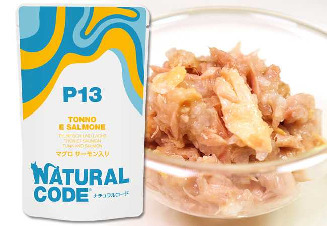 �i�`�������R�[�h NCP13 �}�O�� �T�[�������� �p�E�`�^�C�v