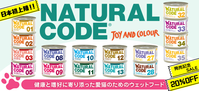 �i�`�������R�[�h