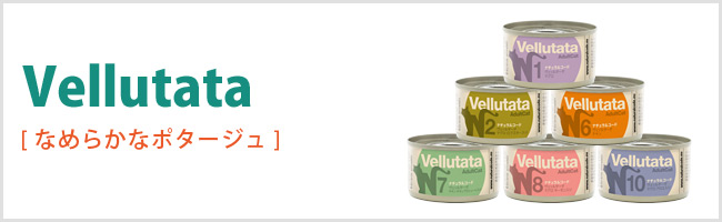 ���F�b���^�[�^ �|�^�[�W���^�C�v