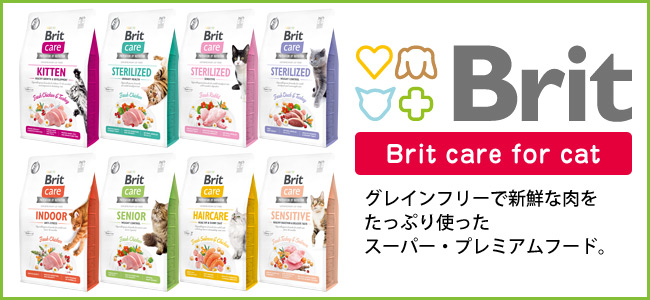 Brit �u���b�g